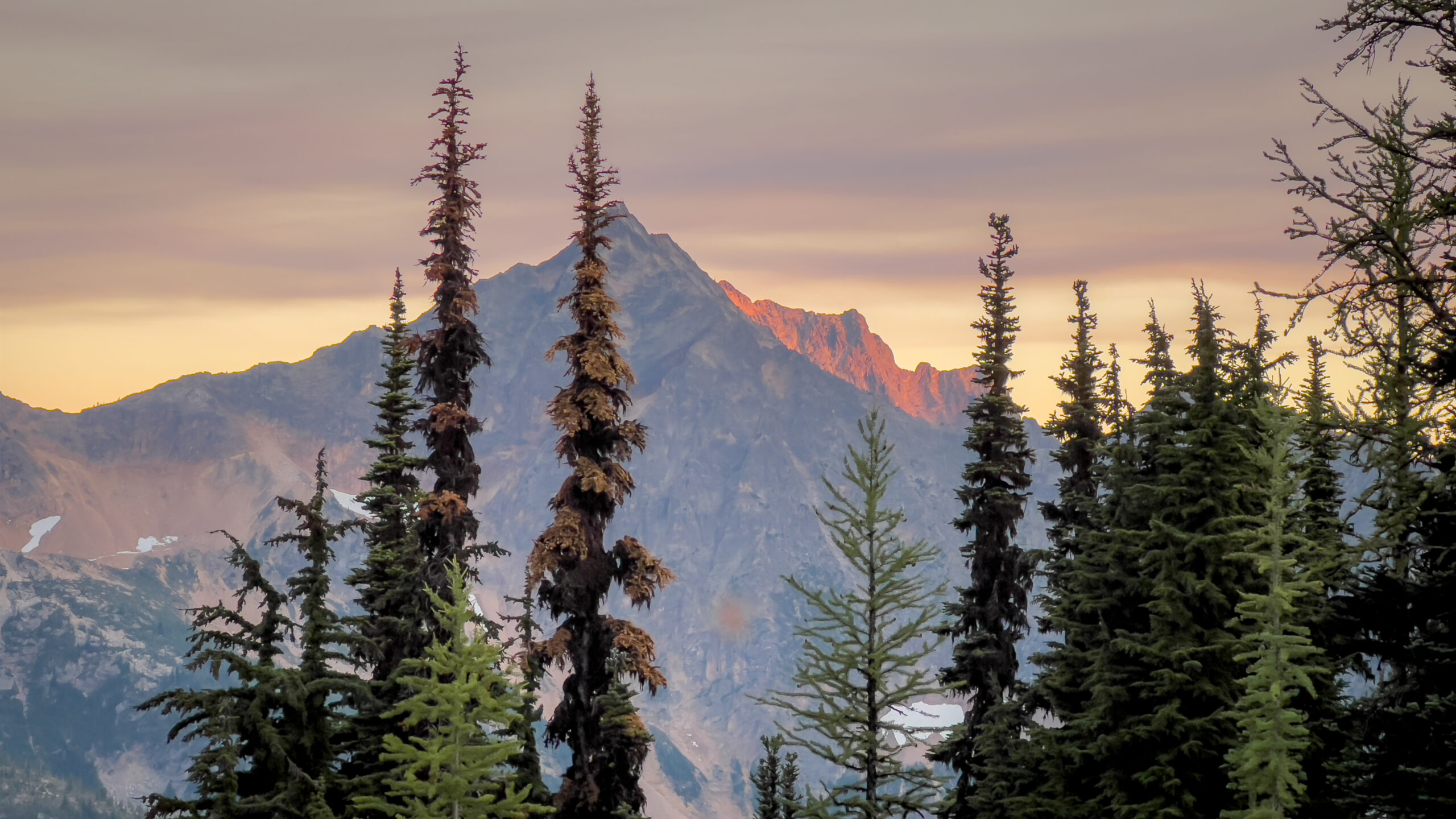 Alpenglow at Cutthroat Pass