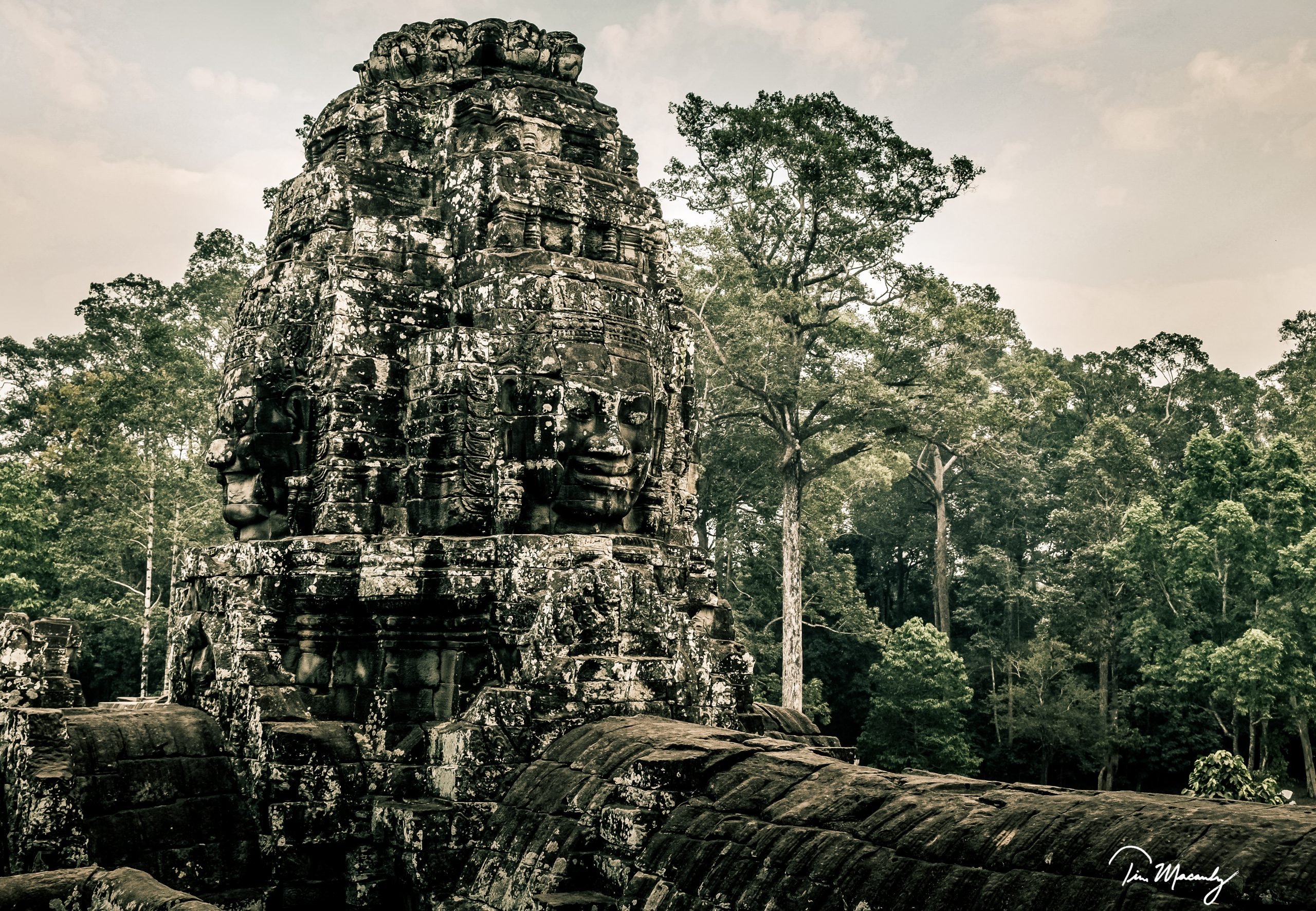 Bayon and the Jungle