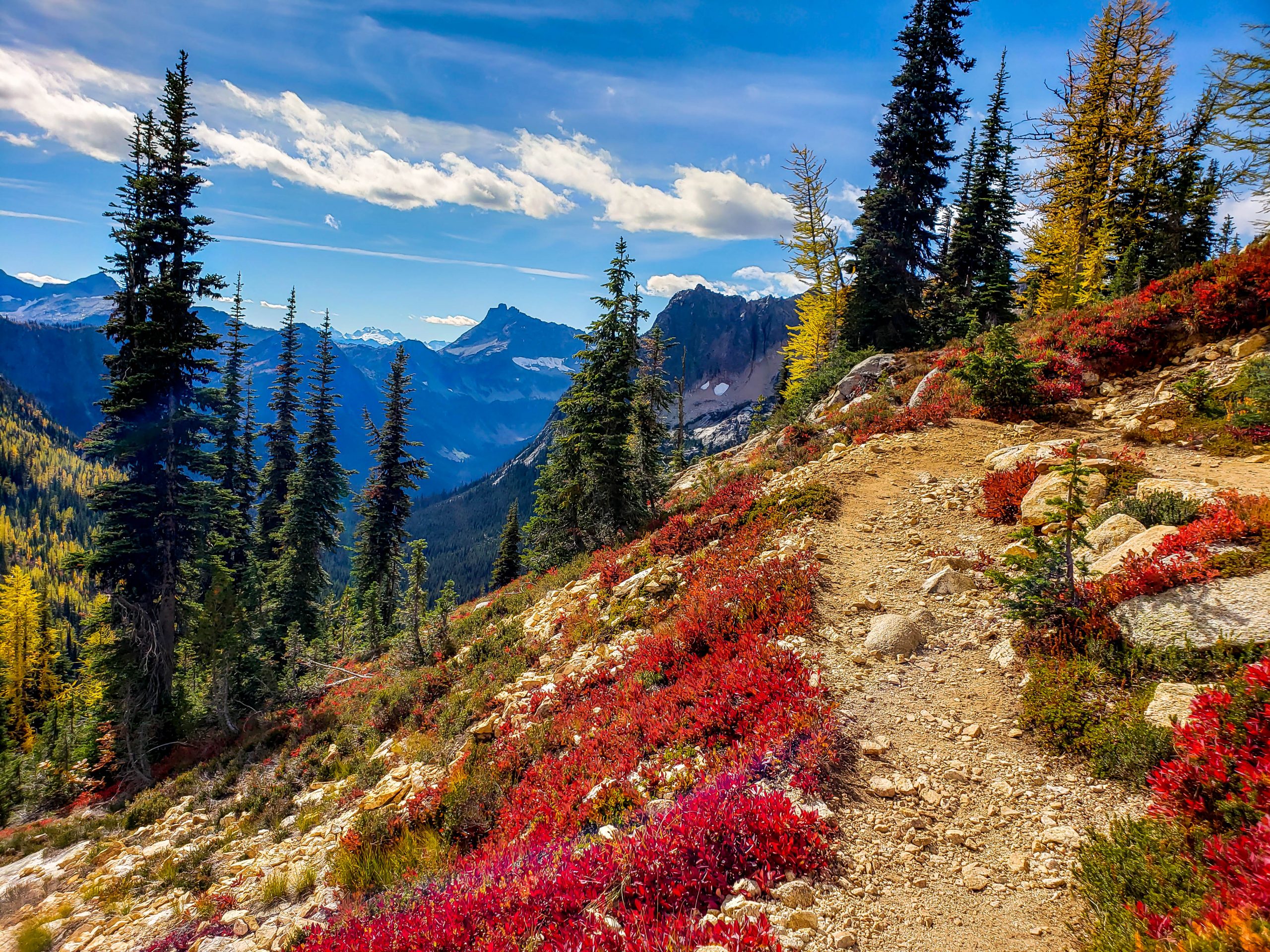 Rainy Pass to Harts Pass
